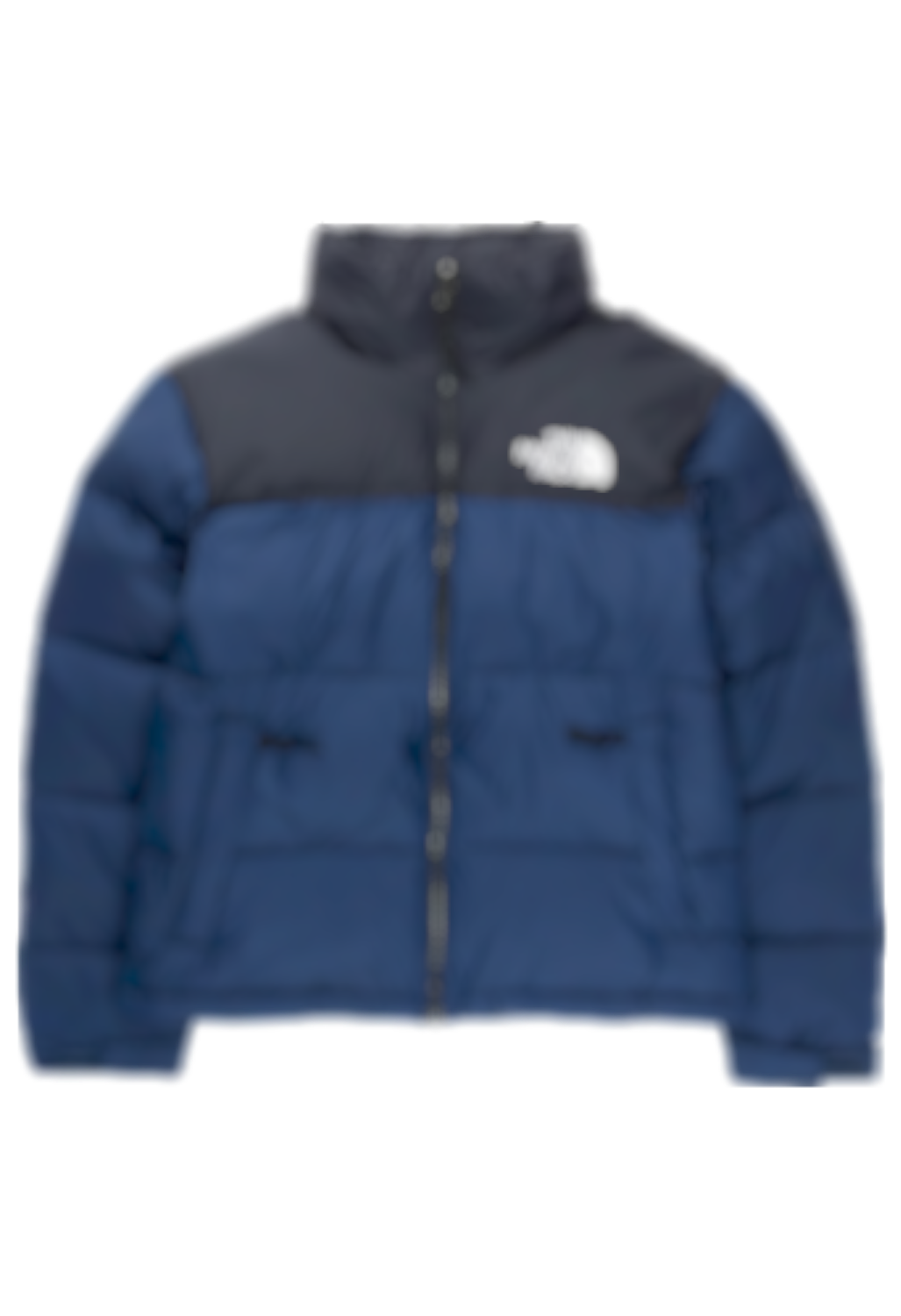 TNF JACKET