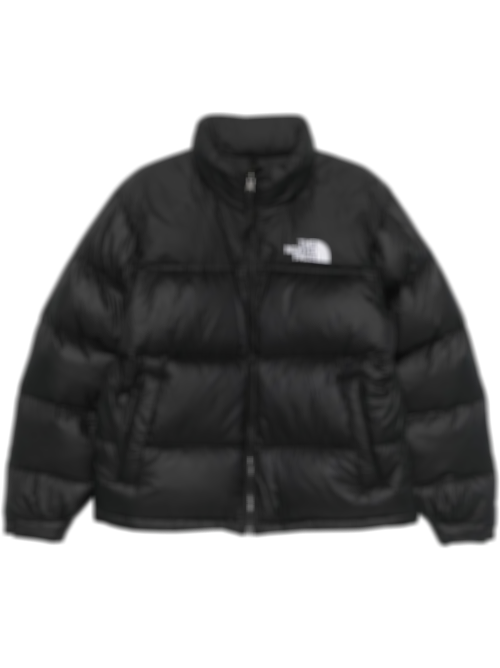 TNF JACKET